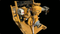 USED PLANT